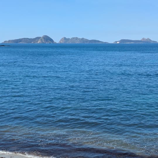 Servicios de procuradores en Vigo
